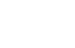 chanel@1.5x