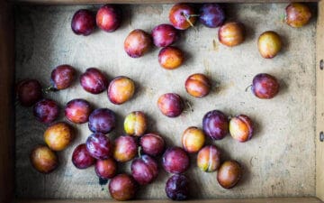 Prunes 3