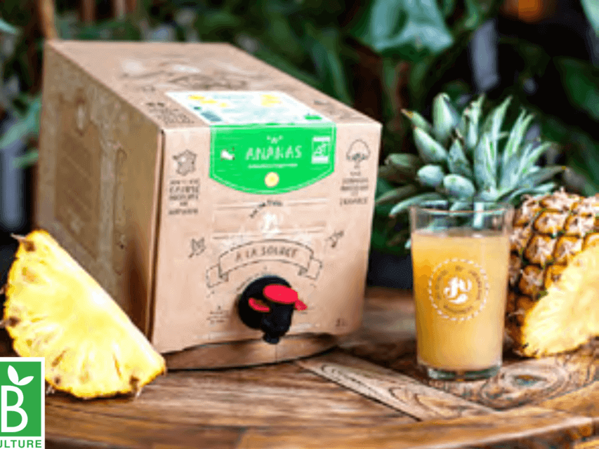 Box de jus de fruits Ananas BIO
